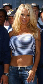 Pamela Anderson - Are some men obsessed with big breast?