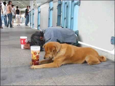 beggar - What kind of attitude should we have towards sucn phenomenon?