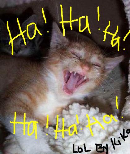 April fools day! - hehehe April fools day! - hehehe
