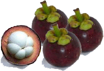 mangosteen - queen fruit