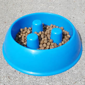 Dog Food Bowl - is their pet food safe? Dog Food Bowl - is their pet food safe?