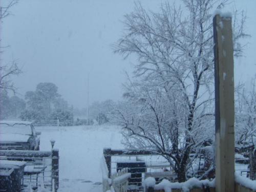 Snow in Flagstaff a week ago! - This pic taken at my home in Flagstaff Arizona!