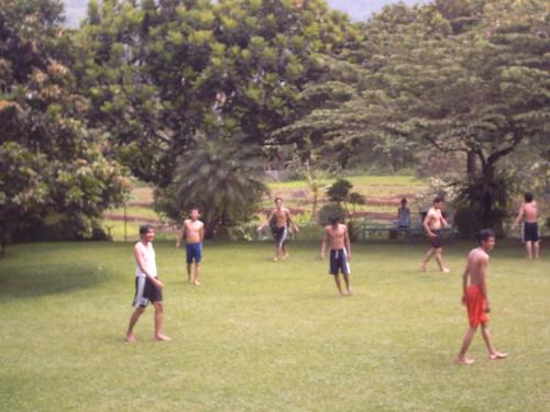 playing soccer - playing soccer, n having fun