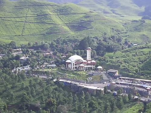 mosque  - great mosque view from top of the hill