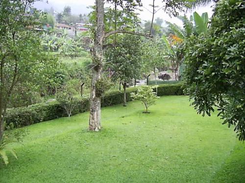 village - village with garden field