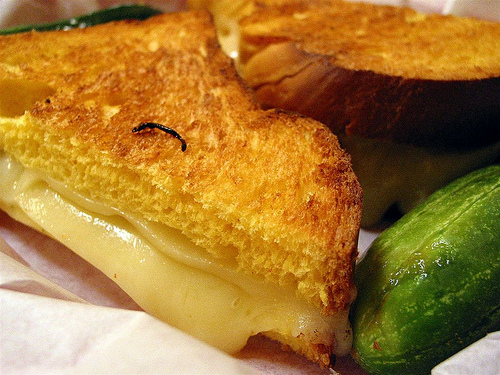 Toasted Cheese Sandwich - aka grilled cheese