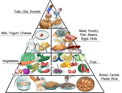 way to become healthier - does being healthy means being thin? or just fit? how can you get thin if in the food pyramid, it says that the largest serving a person should take is the carbs (bread, pasta, etc.) how come?