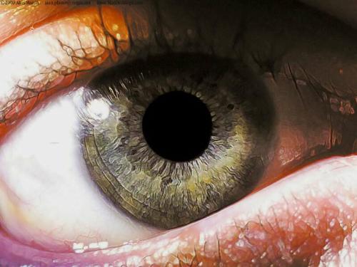 Eyes - Beautiful Eyes