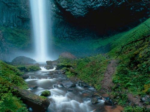Nature - Nature for you