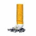 cigarette - Quit Smoking Will Ya
