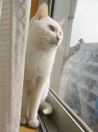 mimi - what are u looking at??