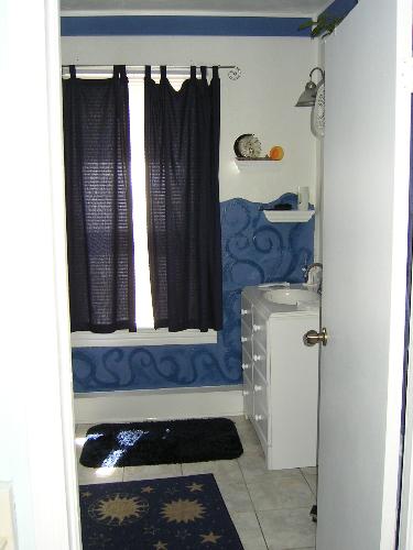 The redone bathroom - THis is the 'after' photo of the redone bathroom. Unfortunatly, you can't see the tub to the left, I am very proud of that.