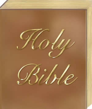 The holy bible - The holy bible...