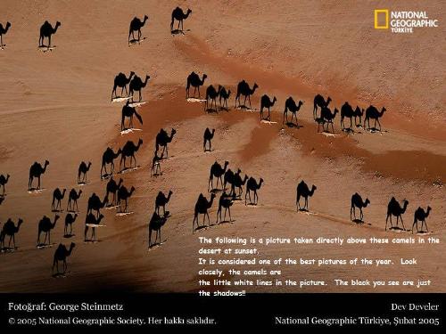 amaizing pic - look closly