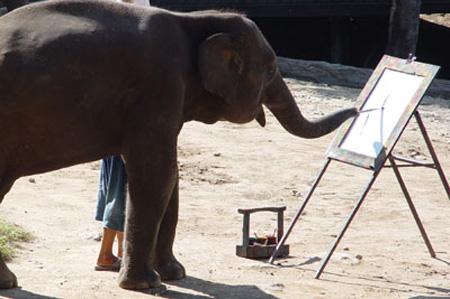Elephant Painting - A cute picture of an elephant painting a picture! awww