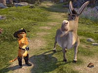 Talking donkey of Shrek - i like role played by eddie murphy (talking donkey)