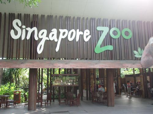 Zoo - The entrance of Singapore Zoo