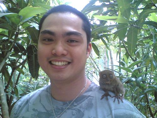 Tarsier in Bohol - This is a picture taken when I was in Bohol. The 'Tarsier' is a rare primate found only in Bohol a province in Central Visayas, Philippines
