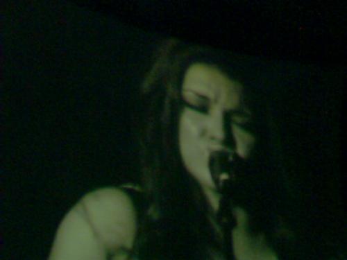 Gretchen Wilson - This is a picture of her in concert in Winston Salem NC last Febuarary 