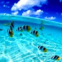 water - image of sea water