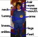 body parts - names for body parts