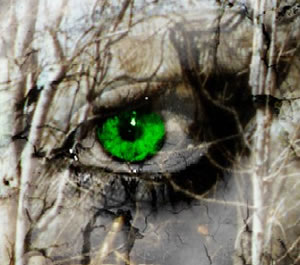green-eyed monster - this is how a jealous person looks like!!!