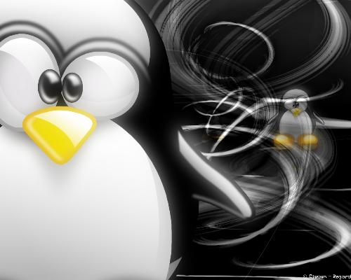 penguin - my stuff doll pingu........................