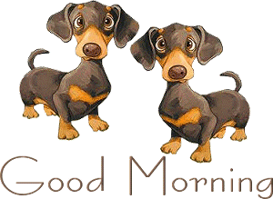good morning - two dogs with good morning
