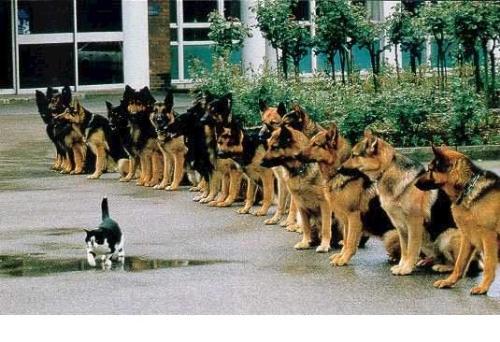 Do you know what courage is?? - What about now!!!