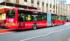 Red passenger bus - bus