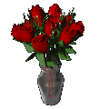 dozen roses - dozen arranged red roses