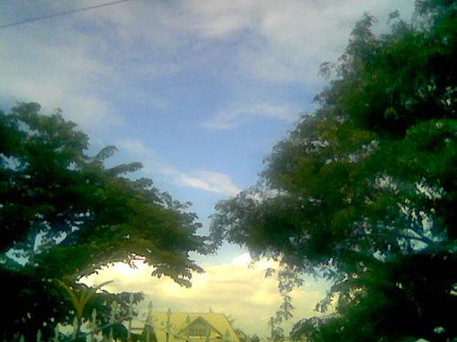Afternoon - I took this picture.. Afternoon, in front of our house