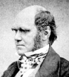 Darwin - This is a photo of Darwin at age 51!