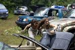wrong turn  - photo of wrong turn movie