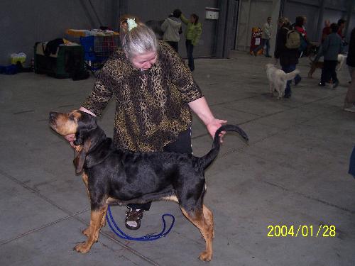 Airis Arimon-Bloodhound - Our Dog Airis on International Exibition in Prague in 2006. She is for us all! We like her very much.