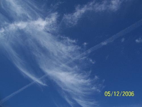 Ski - I took this photo out in my back yard one nice spring day