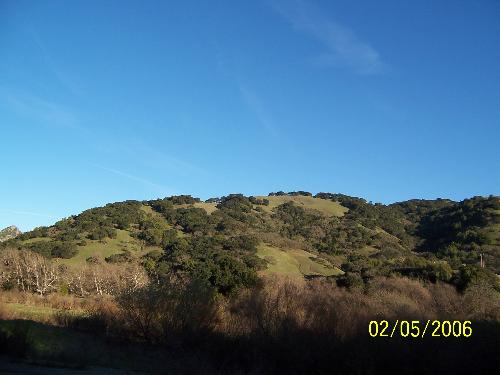 Monteray California - Hillside in Monteray Californai