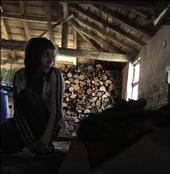 Wood - Wood Shed