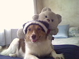 mycha - mycha