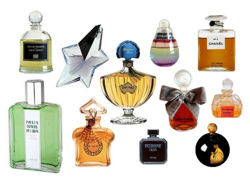 scents, perfumes - scents and blends
