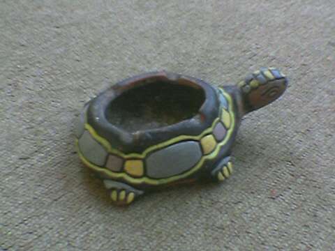 My turtle - ashtray turtle