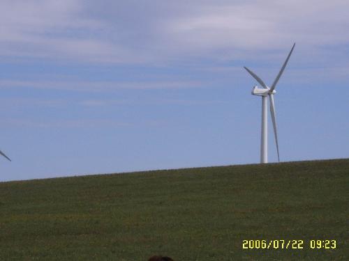 Wind power plant -  This ptoto was taken in grassland in NeiMengGu.
