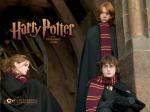 Harry - the upcoming hero- Harry Potter