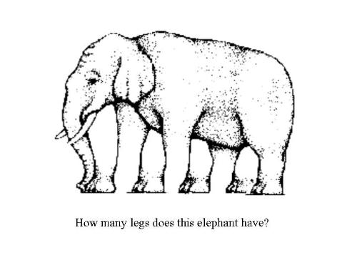 illusion - how many legs does this elephant have?