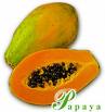 papaya fruit - papaya