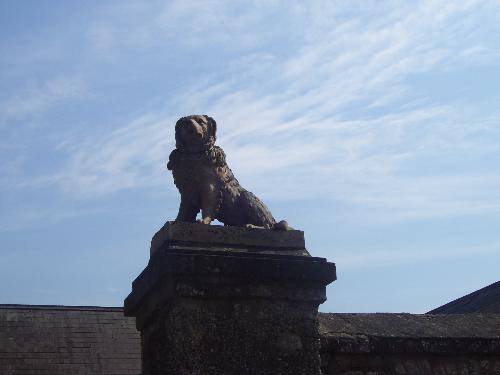 Malahide Castle  - Fingal, North Dublin