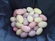 sugared almonds - Sugared Almonds lovely sweets