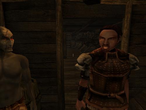 My morowind screenshots - Look at these brillent pictures of my charecters:geldoir and gelodir AND SOME OF MY NEWEST CHARECTER gul du cott. So do you know that uploading morrowind screenshots are the best way to make money on mylot? Well if you want to know go to morrowinds root dicturnary find the sentance: Screenshot enable=0. Turn this into Screenshot enable=1. Now this will allow you to be able to make morrowind screenshots! But now we have a problem! MyLot dosn't accept bitmap! Oh no! So go and get a program like irfanview! An you can turn them all into jpegs!