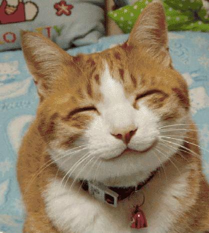 Laugh - How cute...