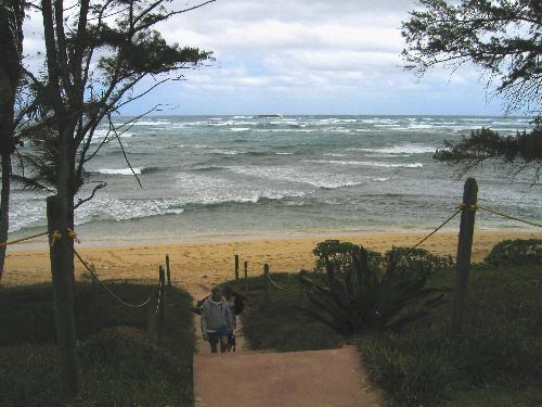 north shore oahu beach  - one of the hundreds of beaches on oahu, hawaii land of the beaches.